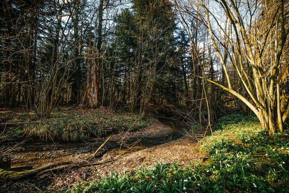 ''Forest House '' Будинок Для Відпочинку Truskavets Dış mekan fotoğraf