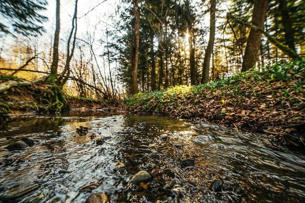 ''Forest House '' Будинок Для Відпочинку Truskavets Dış mekan fotoğraf